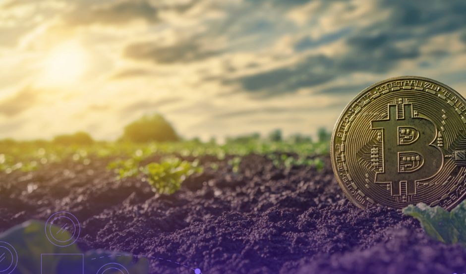 Προοπτική της Αγοράς Κρυπτονομισμάτων: Μετά την Καθαρή Εξαφάνιση, το Έδαφος Φαίνεται Πλουσιότερο