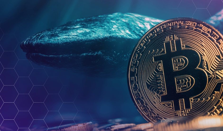 Κρυπτοφάλαινας ανοίγει νέο short 163 εκατομμυρίων δολαρίων σε Bitcoin μετά από κέρδος 192 εκατομμυρίων δολαρίων.