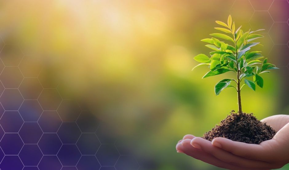 Ο ιδρυτής της Curve προτείνει επιχορήγηση 6,6 εκατομμυρίων δολαρίων σε CRV για την ανάπτυξη του οικοσυστήματος.