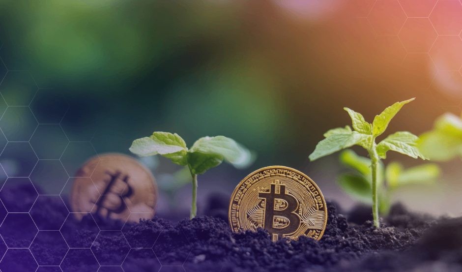 Οι Υποστηρικτές του DeFi Προτείνουν Σχέδιο 30 Δισεκατομμυρίων Δολαρίων για την Καταπολέμηση της Παγκόσμιας Φτώχειας — Ορίστε το σχέδιο.