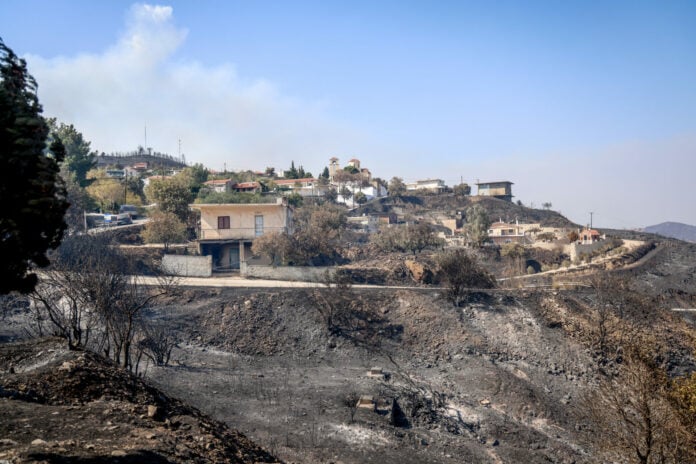ΑΑΔΕ: Μέσω myAADE οι δηλώσεις απαλλαγής ΕΝΦΙΑ για τις πυρκαγιές του 2025 – Η διαδικασία και τα δικαιολογητικά
