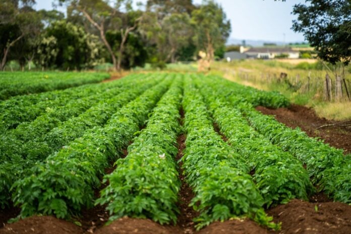 ΕΕ: Αυστηρότερους και καλύτερους ελέγχους στα εισαγόμενα αγροδιατροφικά προϊόντα ζήτησε η Ελλάδα