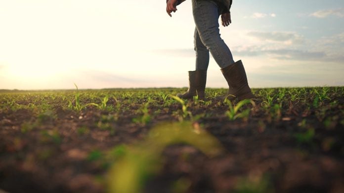 Έντεκα ερωτήσεις- απαντήσεις για τα 3,7 δισ. που καταβάλλονται στους αγρότες μας το 2025