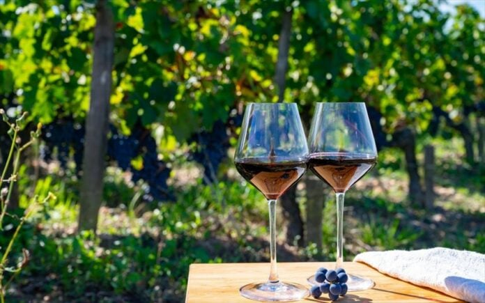 «Ξεθυμαίνει» το γαλλικό κρασί- Ξεριζώνουν τα αμπέλια