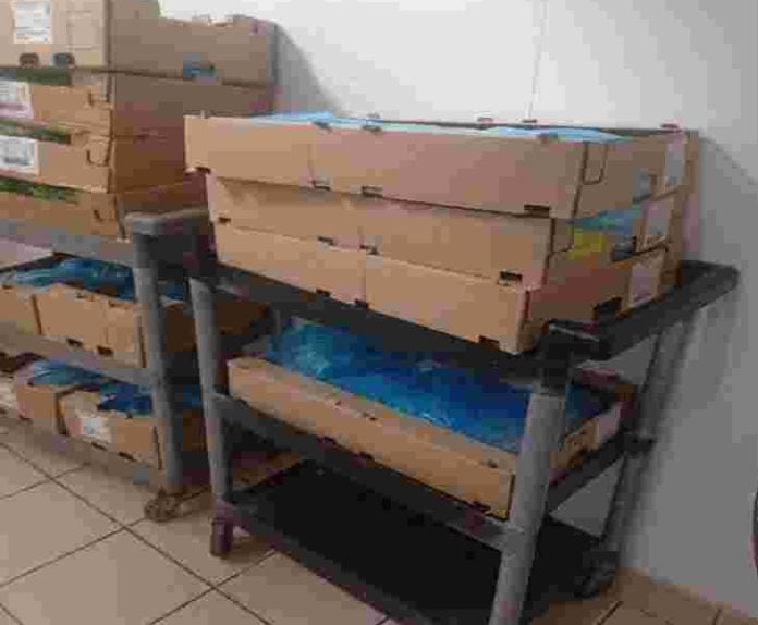 Μπαράζ ελέγχων στην εορταστική αγορά από την Περιφέρεια Αττικής: Κατασχέθηκαν 12 τόνοι ακατάλληλων προϊόντων- Πρόστιμα 324.000 ευρώ