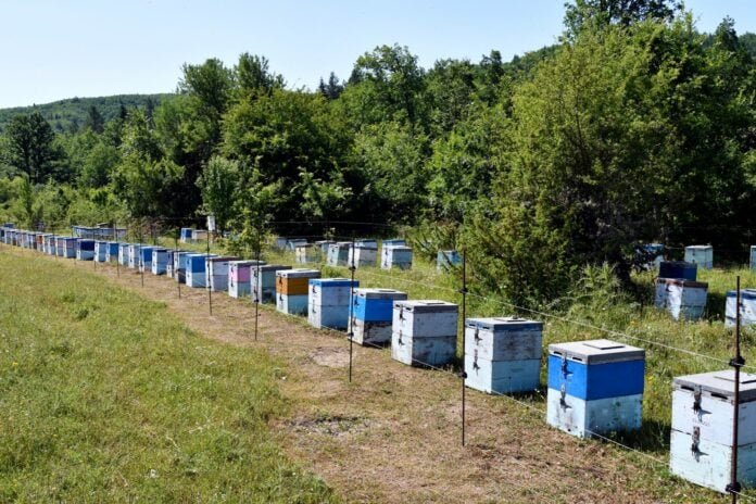 ΟΠΕΚΕΠΕ: 28,78 εκατ. σε δικαιούχους βιολογικής κτηνοτροφίας και μελισσοκομίας