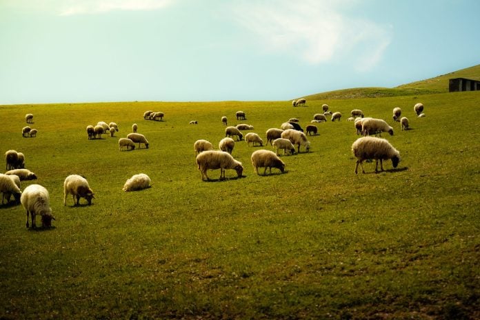 Πηγές Κομισιόν για ΟΠΕΚΕΠΕ: Οι καθυστερήσεις στις πληρωμές σχετίζονται με τη διαδικασία αποζημίωσης