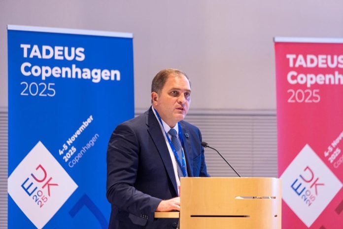 Πιτσιλής (ΑΑΔΕ): Το νέο Πολυετές Σχέδιο για τις φορολογικές διοικήσεις της Ε.Ε.