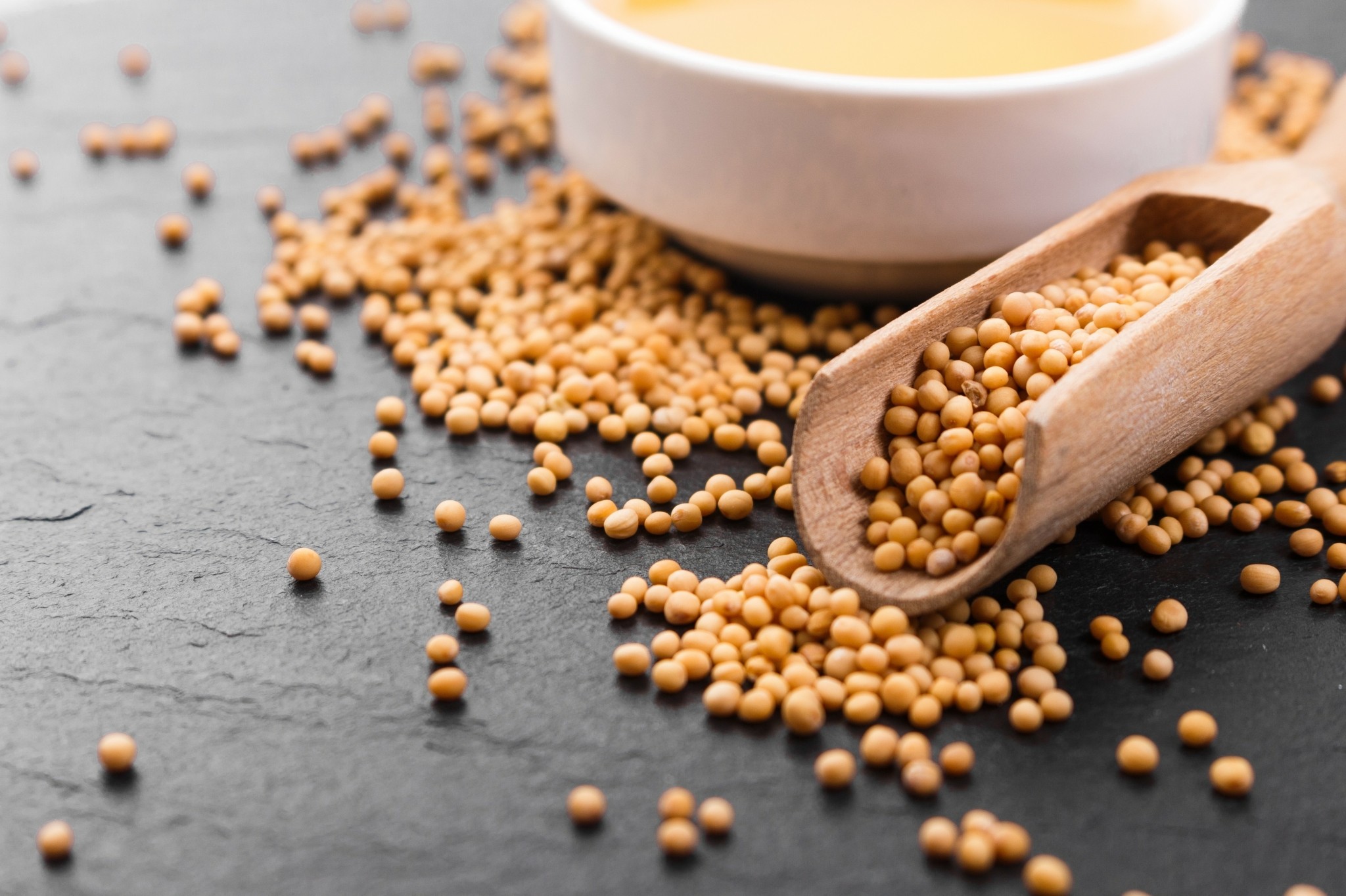 Σε υψηλό 20 μηνών η σόγια ενόψει των αποφάσεων για τα βιοκαύσιμα