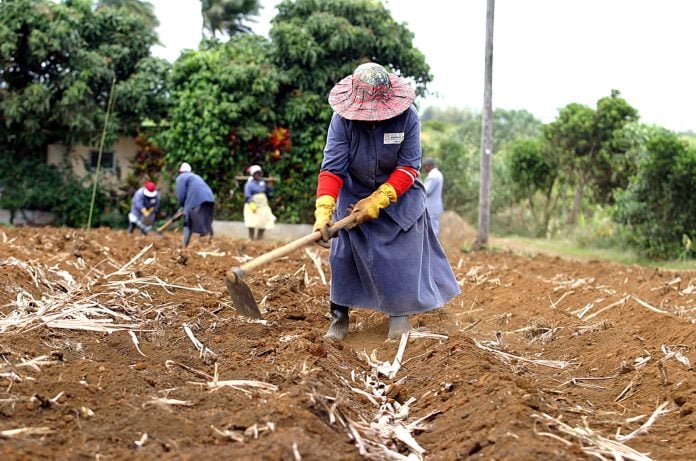 Τα μικρά νησιωτικά κράτη αξιολογούν την Κίνα ως κορυφαίο αναπτυξιακό εταίρο