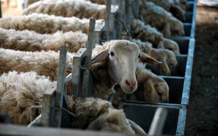 ΥΠΑΑΤ: Πάνω από 1.800 έλεγχοι ενόψει Πάσχα – Ο απολογισμός