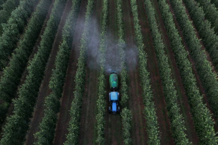 Στα 3,2 δισ. οι καταβολές στους αγρότες φέτος – Αναλυτικά οι σημερινές πληρωμές των 487,9 εκατ. ευρώ