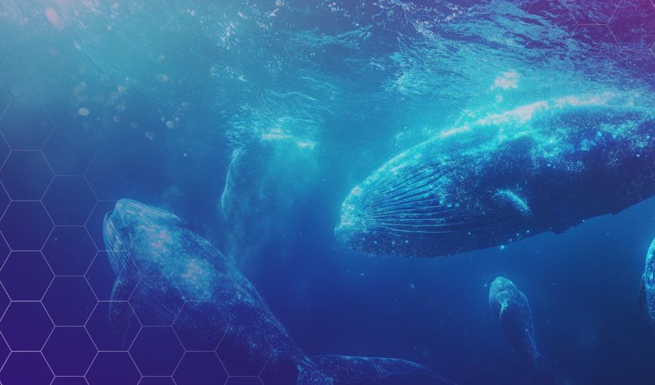 Η OpenSea θα λανσάρει το SEA Token το πρώτο τρίμηνο του 2026, κατανέμοντας το 50% στην κοινότητα.